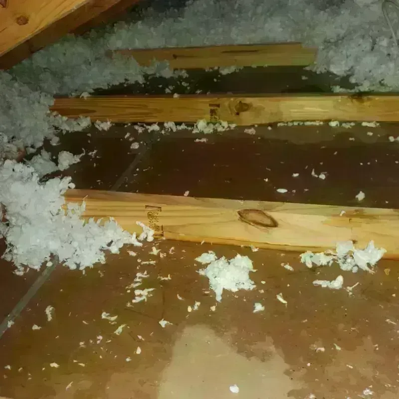 Attic Water Damage in Robinson, TX