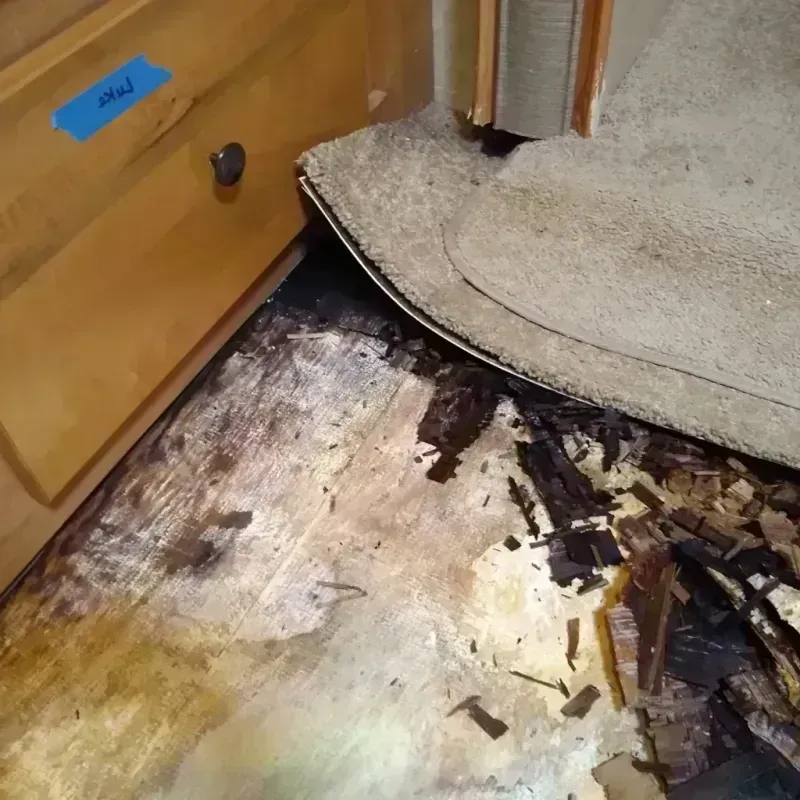 Wood Floor Water Damage in Robinson, TX